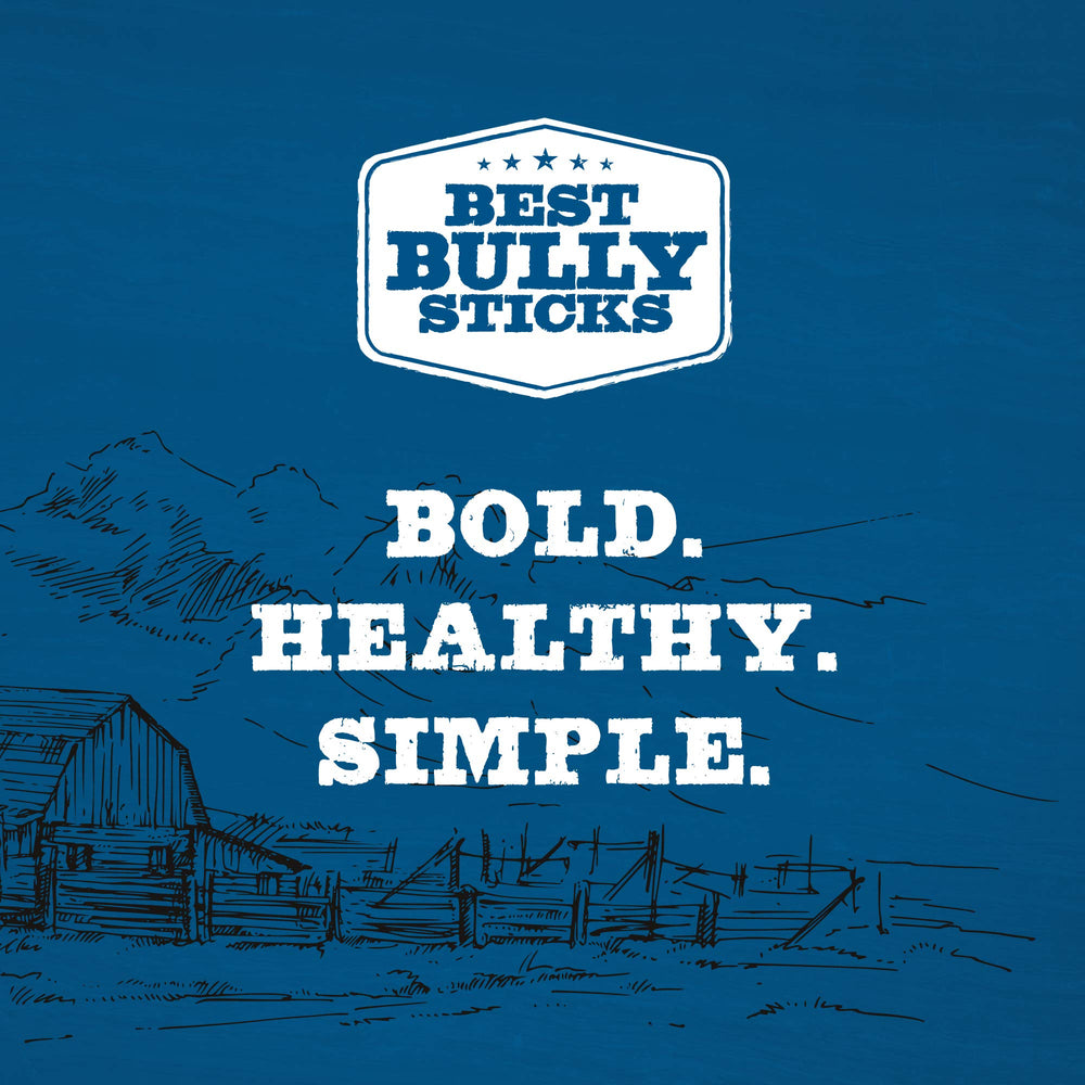 Best Bully Sticks dental health action shows tartar-scraping chewing