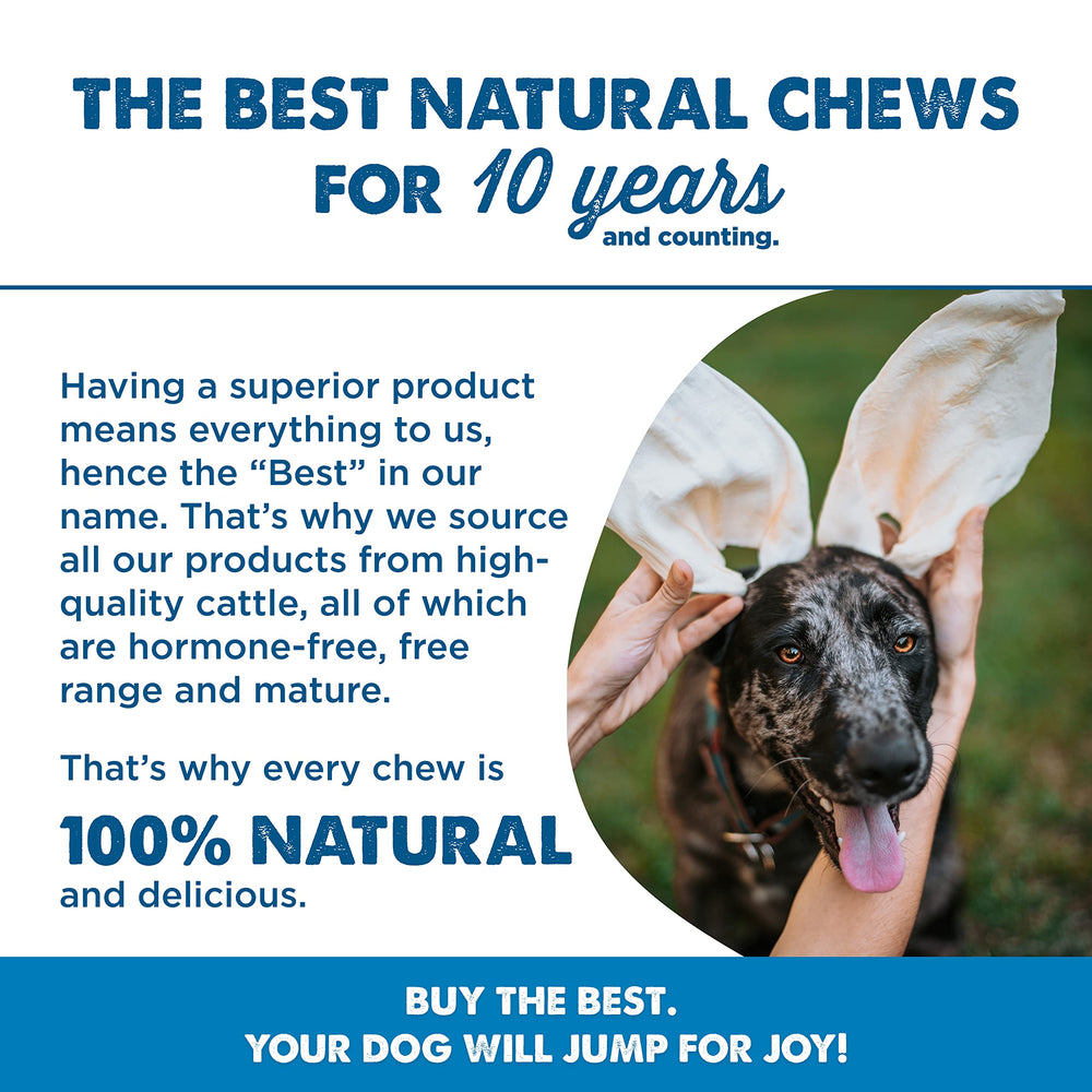 Best Bully Sticks durable chews close-up showcasing tough texture for strong chewers