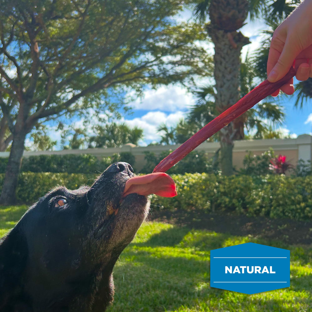 Best Bully Sticks grain-free beef ingredients label highlighting natural, additive-free treat