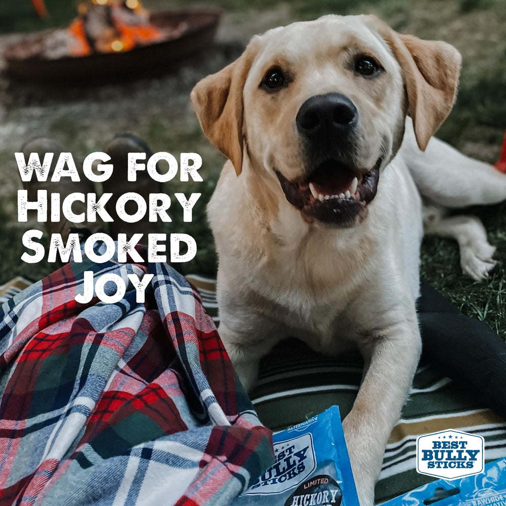 Best Bully Sticks long-lasting chew supports extended entertainment for dogs