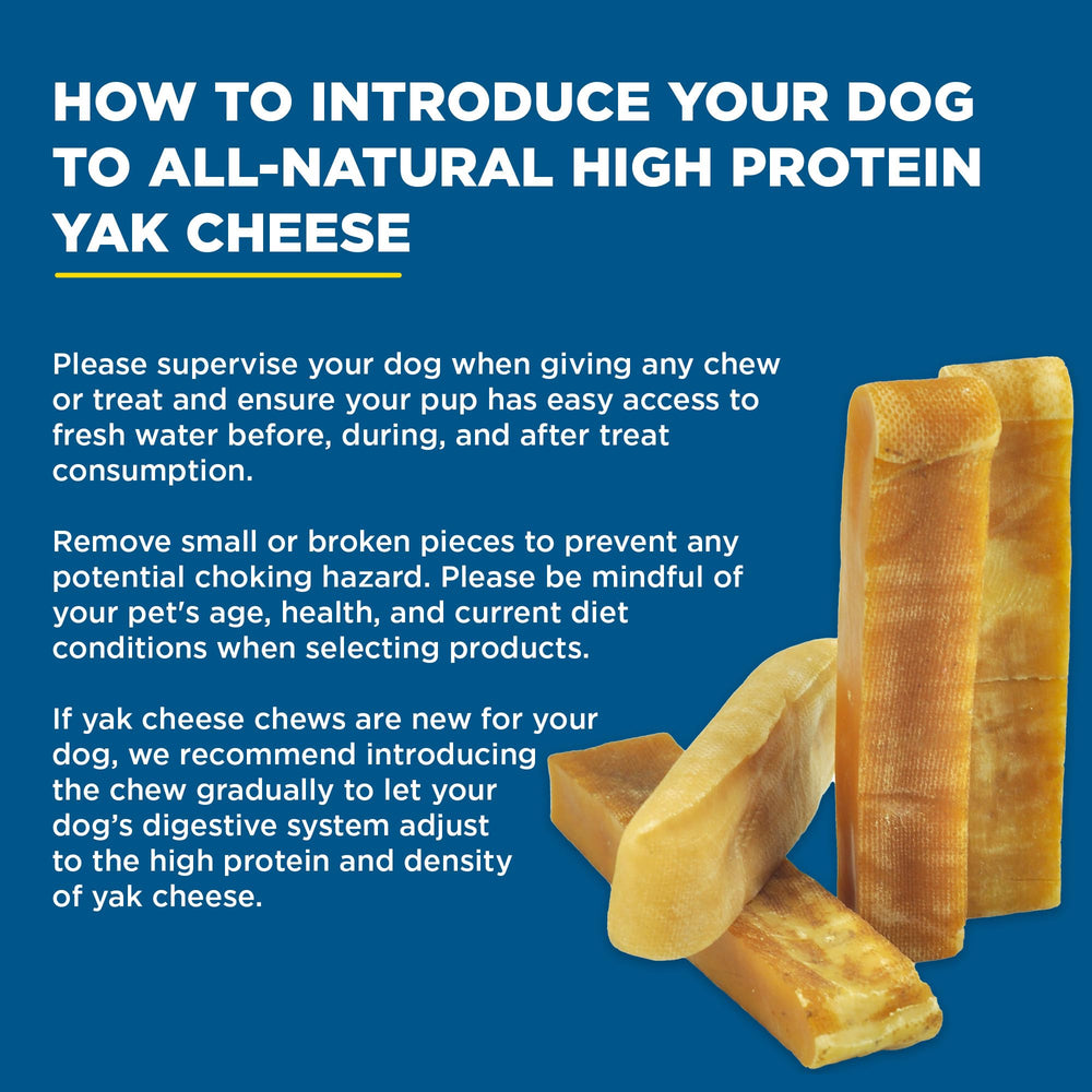Best Bully Sticks Himalayan yak cheese for dogs provides safe long-lasting chew without rawhide.