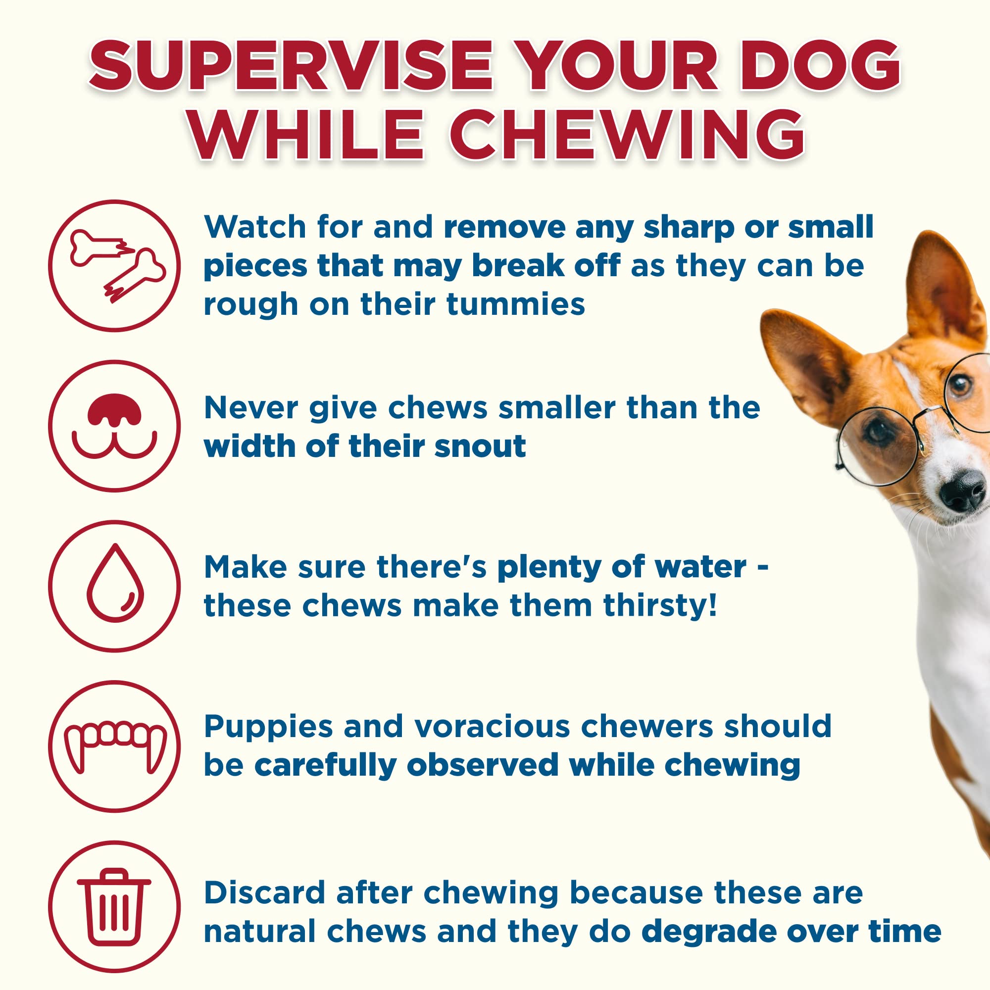 Best Bully Sticks hollow shin bones may ease boredom and anxiety in dogs.