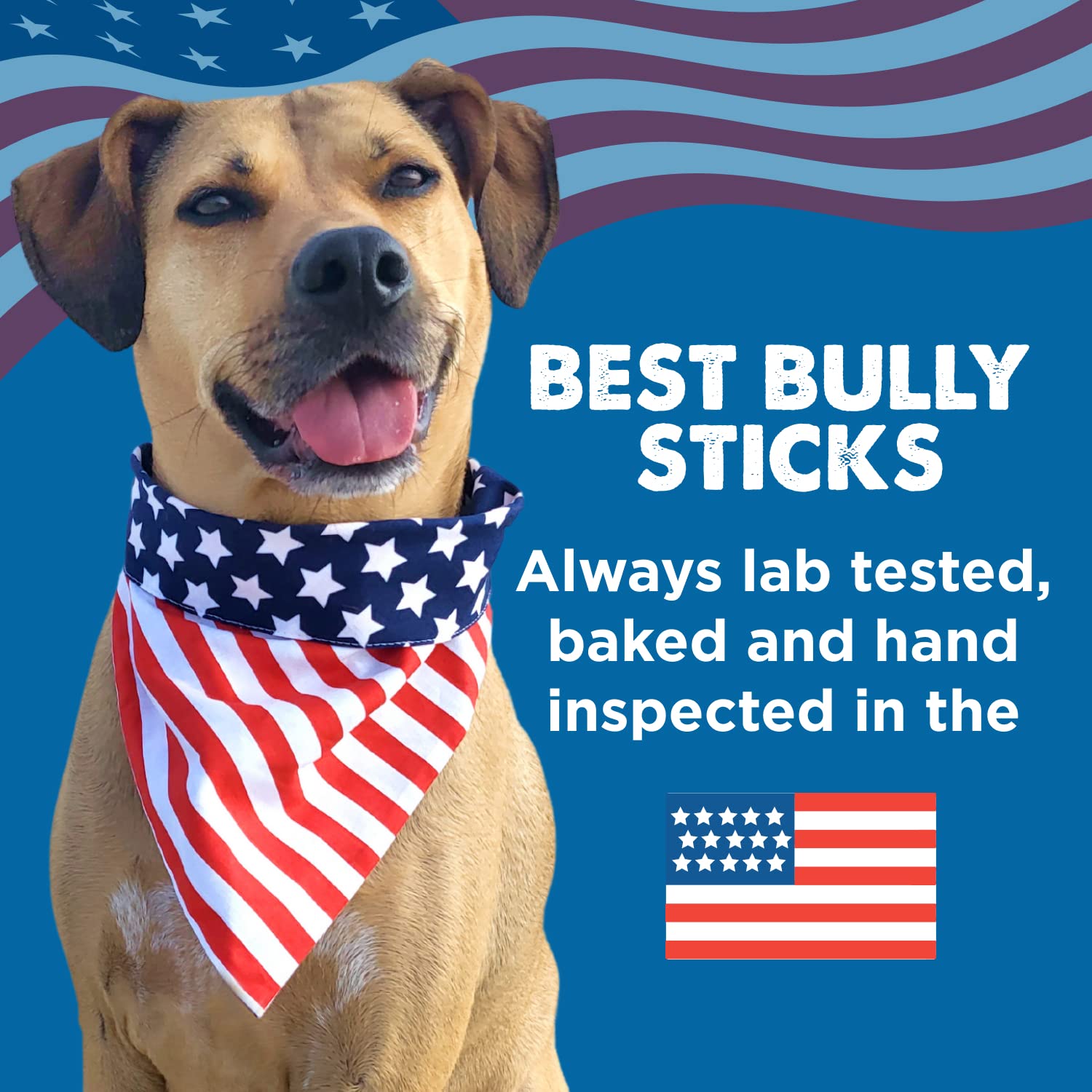 Best Bully Sticks hollow shin bones fillable chew image, supports dental care and interactive feeding.