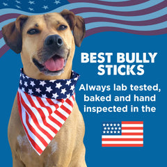 Best Bully Sticks hollow shin bones fillable chew image, supports dental care and interactive feeding.