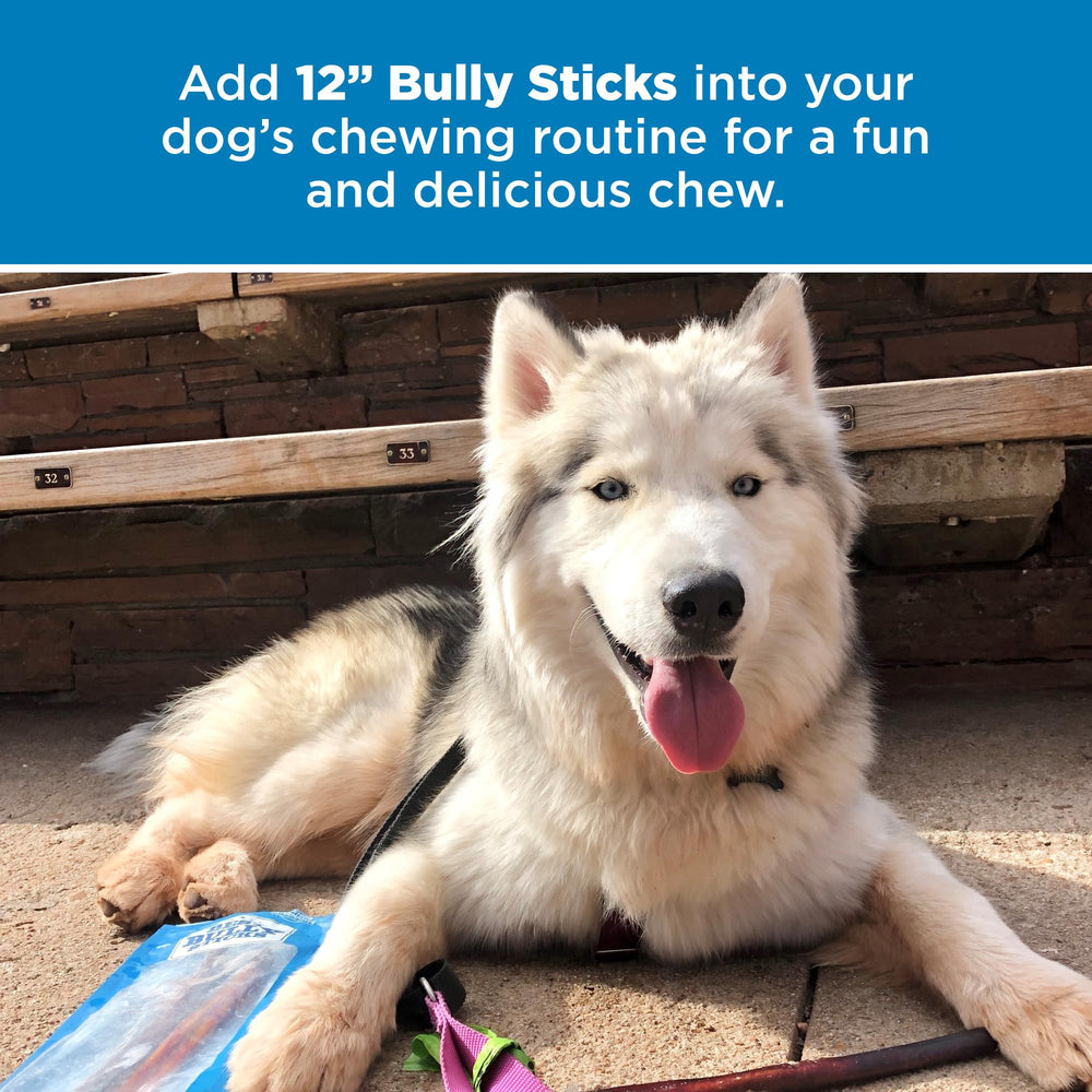 Best Bully Sticks large-dog teething chew suitable for big breeds
