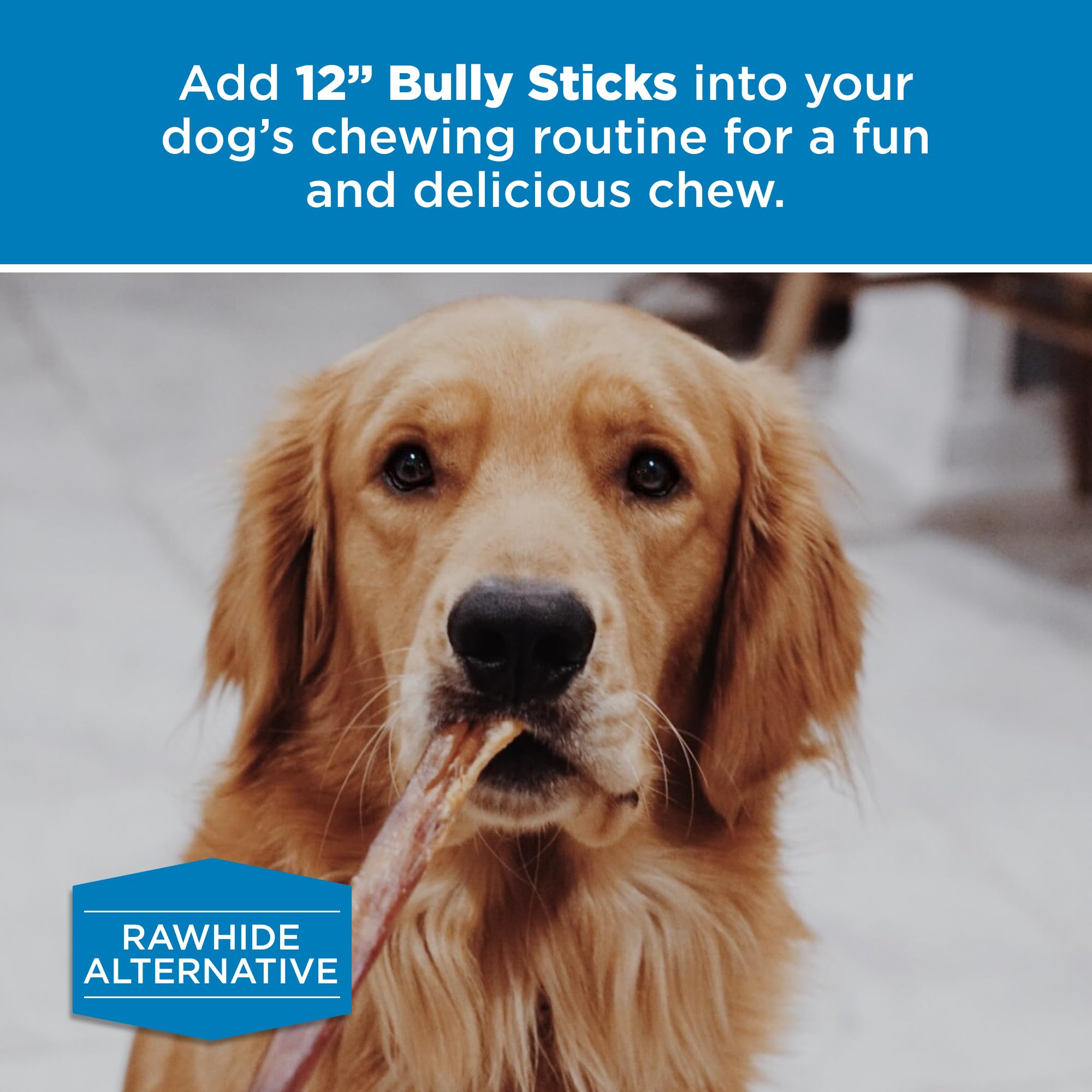 Best Bully Sticks packaging 12-count, grain-free, hormone-free dog treat.