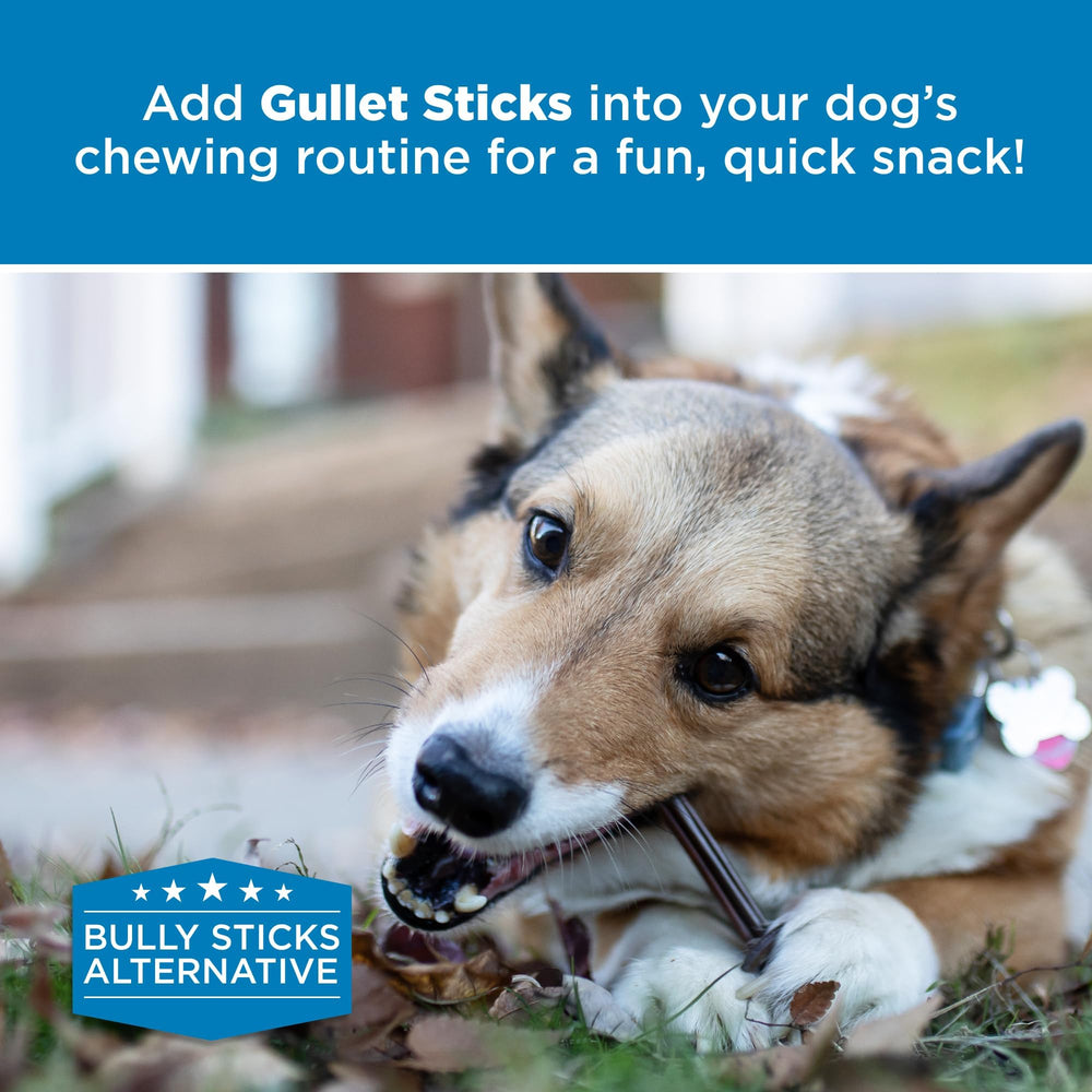 Best Bully Sticks packaging and safety focus on secure, quality-controlled packaging