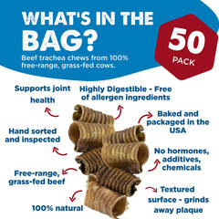 Best Bully Sticks premium 3-inch beef trachea being chewed by a dog for dental-friendly chew