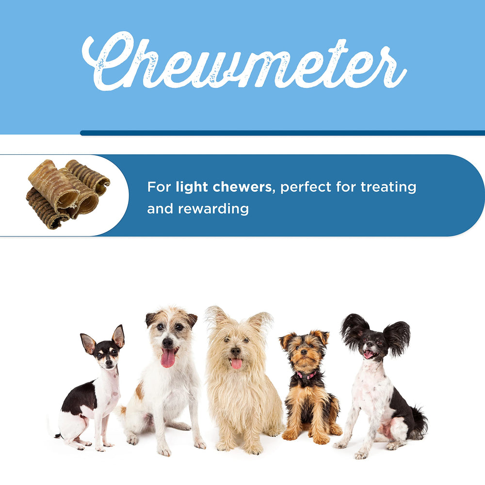 Best Bully Sticks premium 3-inch beef trachea grain-free label highlights simple ingredients