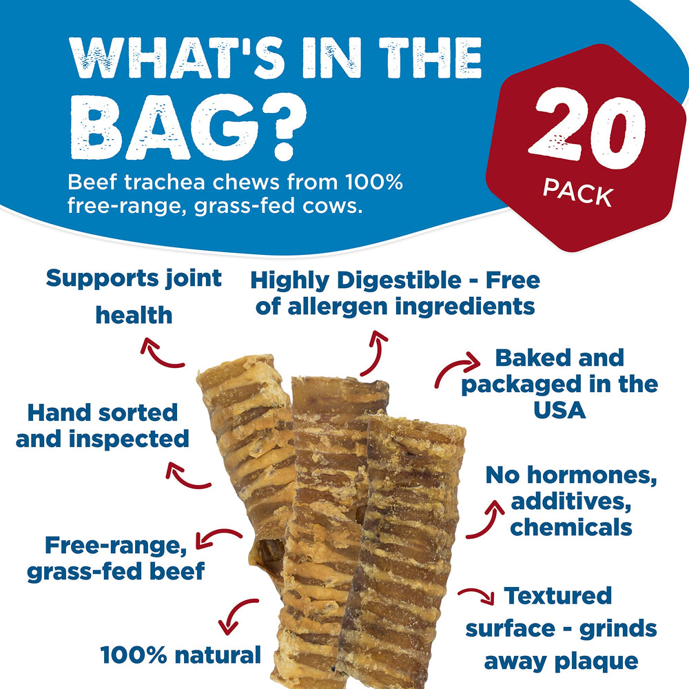 Best Bully Sticks beef trachea 6-inch chew delivers high-protein snack for dogs of all sizes.