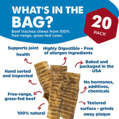 Best Bully Sticks beef trachea 6-inch chew delivers high-protein snack for dogs of all sizes.
