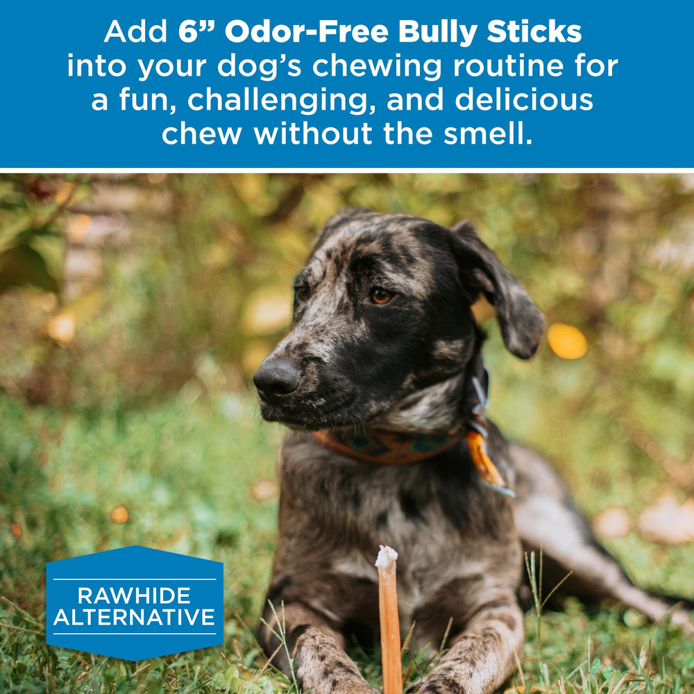 Best Bully Sticks rawhide-free label reinforces a safer chew option for dogs