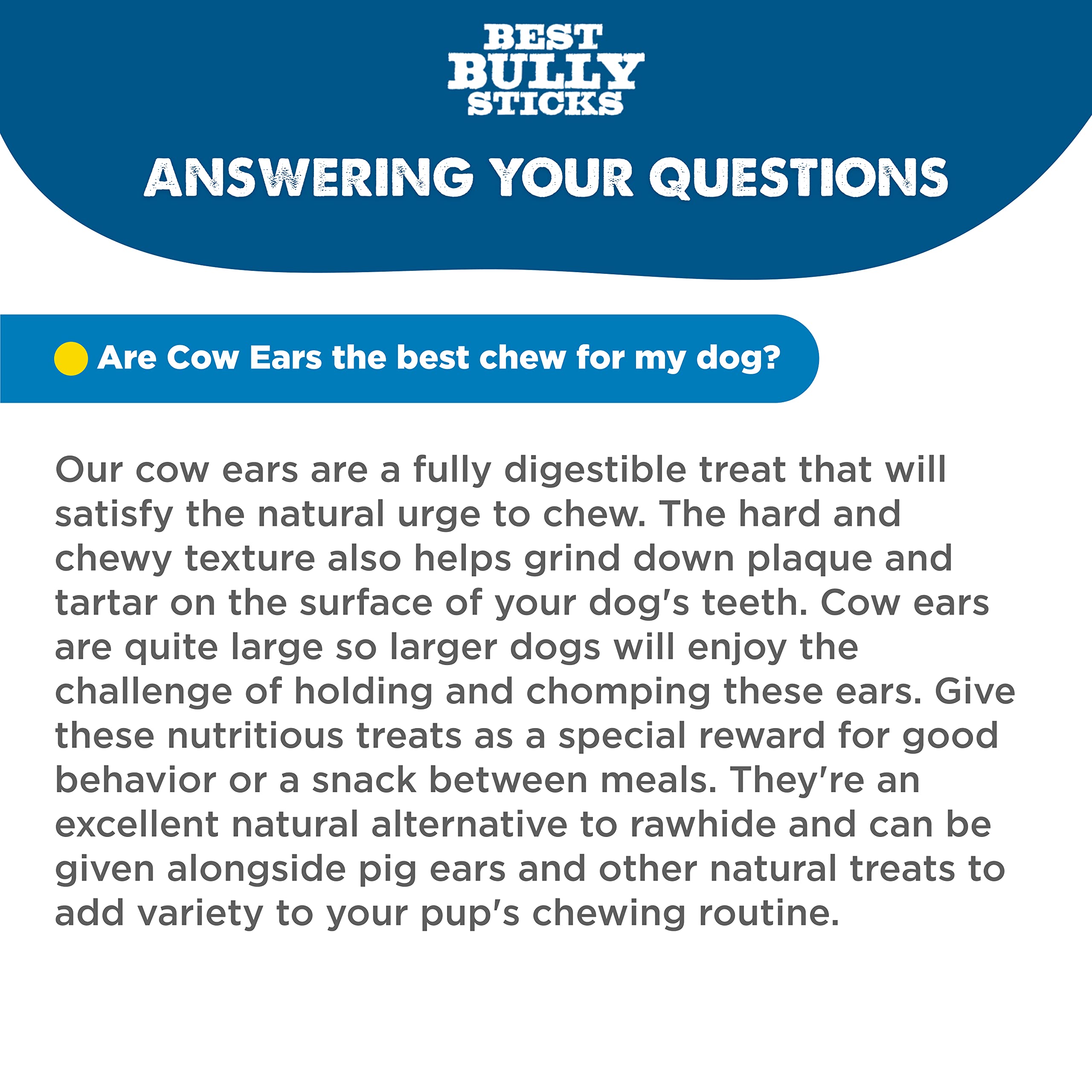 Best Bully Sticks safe digestible dog chews as an alternative to rawhide