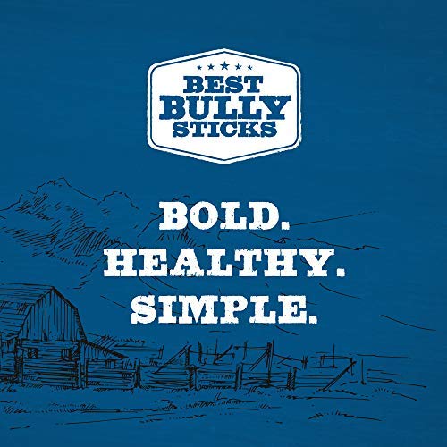 Best Bully Sticks 4-8 inch junior chew used during playtime to reduce boredom.