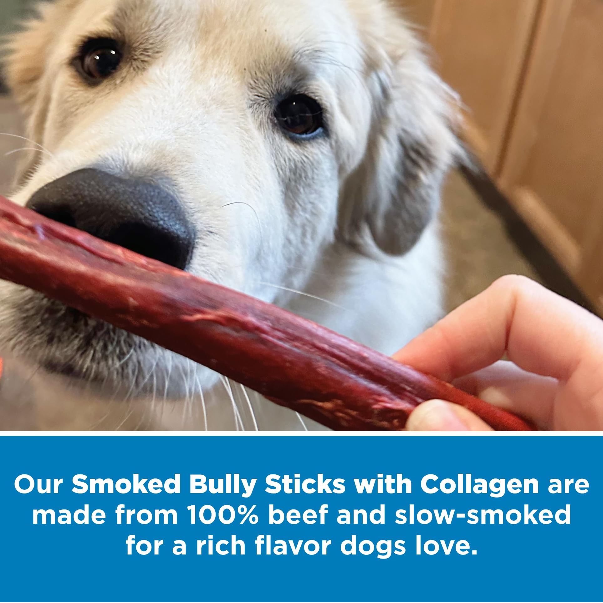 Best Bully Sticks 5-count pack on shelf ready for take-home rewards.