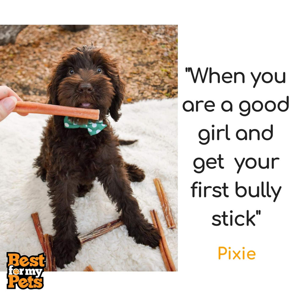 Best For My Pets 100 percent beef bully stick closeup emphasizes single-ingredient snack
