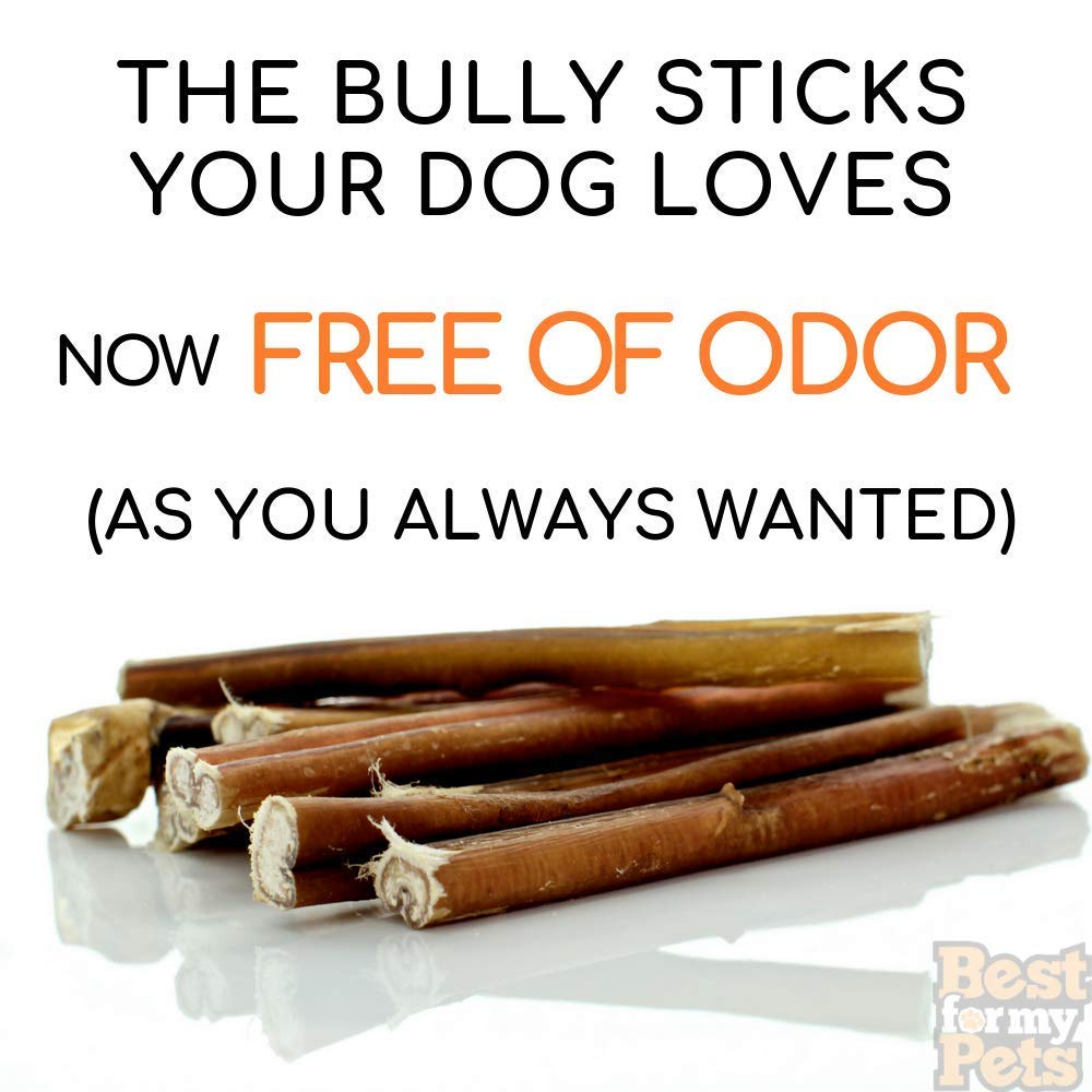 Best For My Pets 12-inch bully stick closeup texture highlights chewy experience