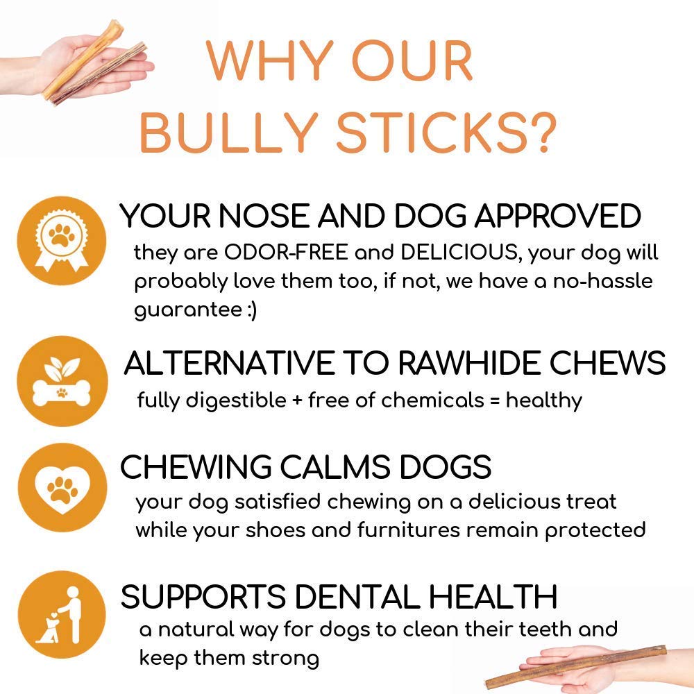 Best For My Pets 12-inch odor-free bully stick dog chewing indoors