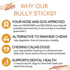 Best For My Pets 12-inch odor-free bully stick dog chewing indoors