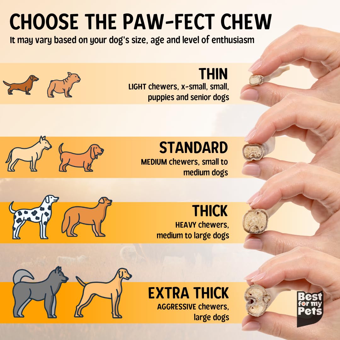 Best For My Pets odor-free air-dry process minimizes smell.