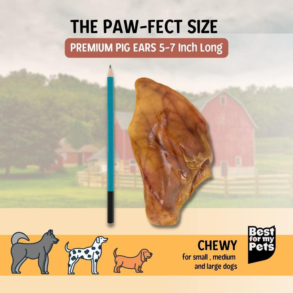 Best For My Pets pig ears digestible chew ideal for strong chewers