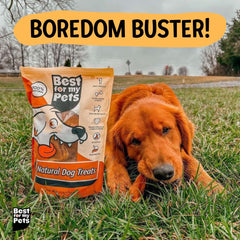 Best For My Pets single-ingredient beef pizzle highlights pure, simple ingredients.