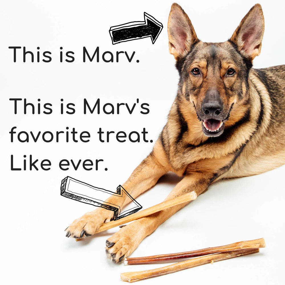 Best For My Pets USA-inspected badge on bully stick product image