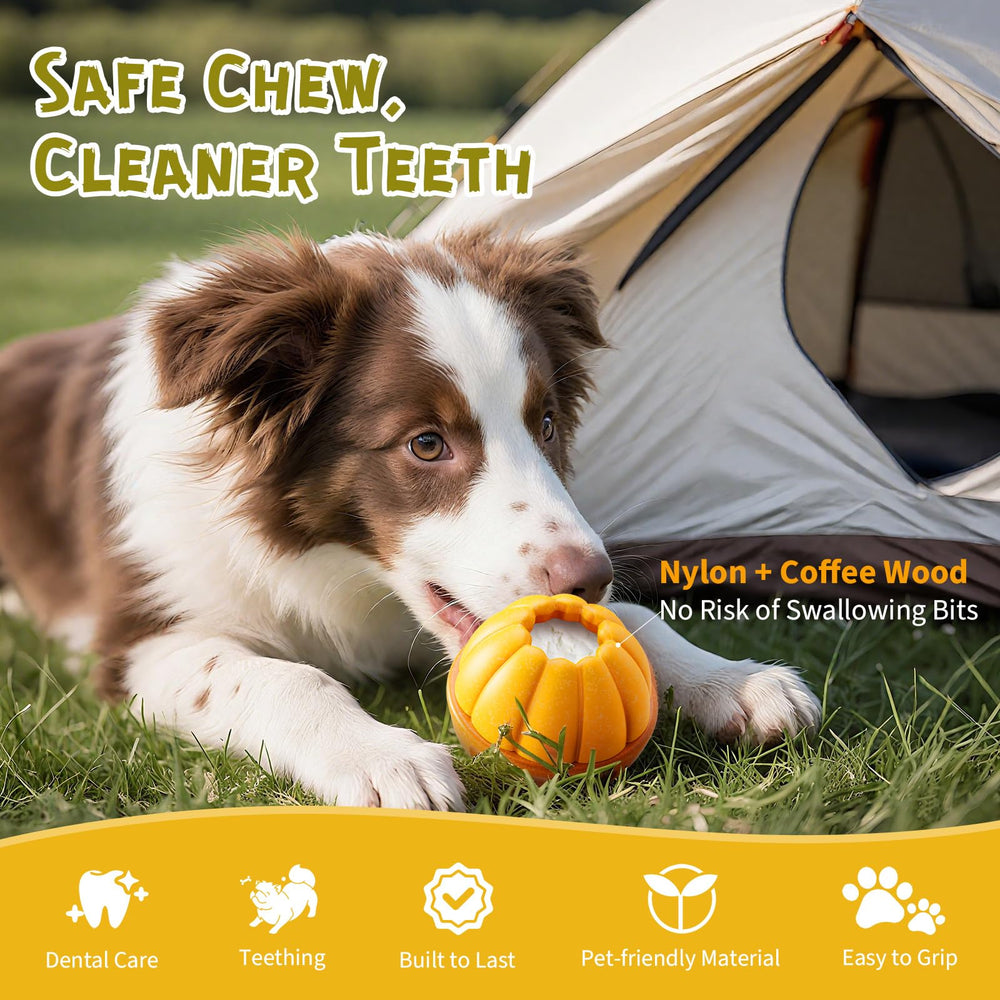 BEST JAJA lid-opening unit dispenses treats as dogs interact