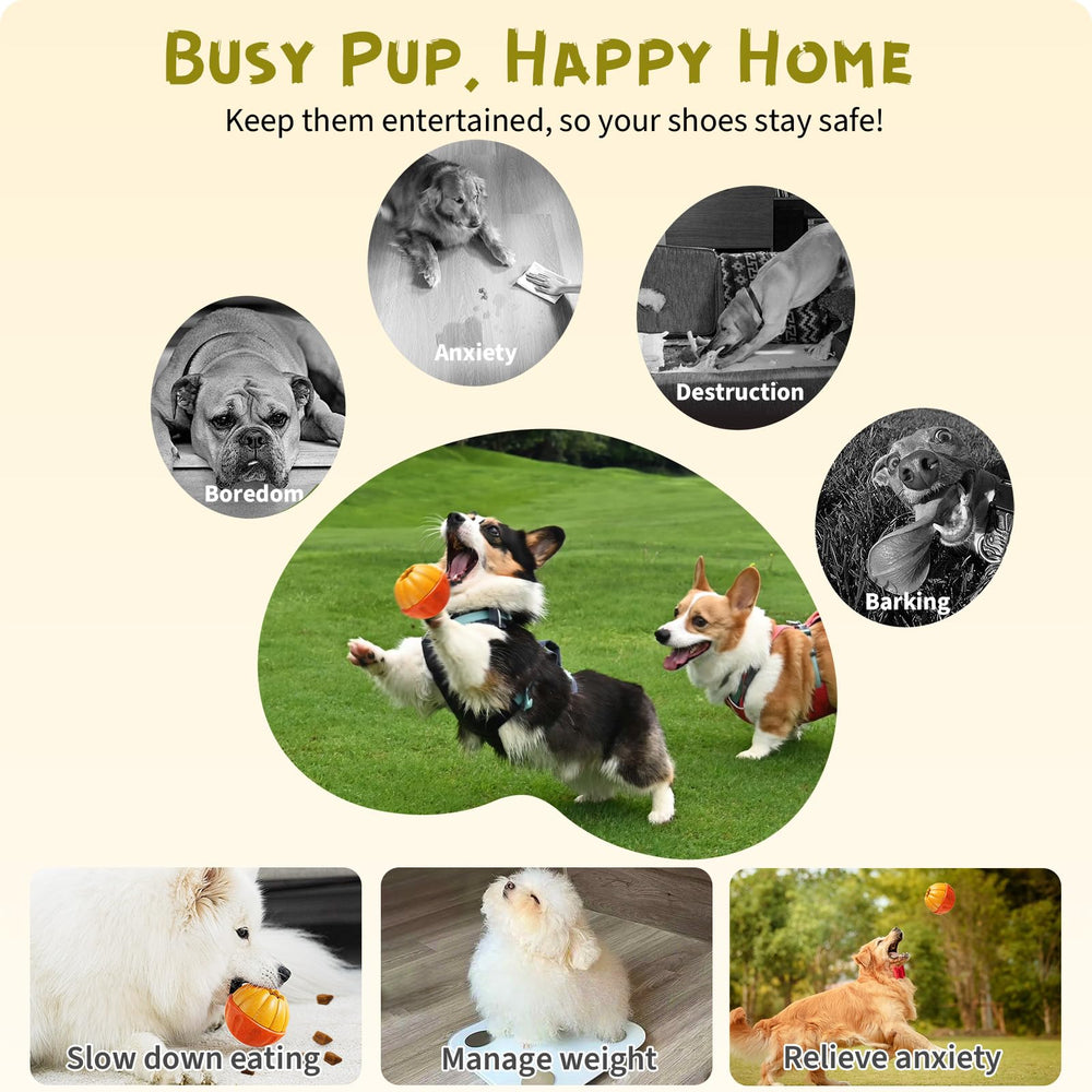 BEST JAJA interactive puzzle toy keeps dogs busy for 25-75 lb range