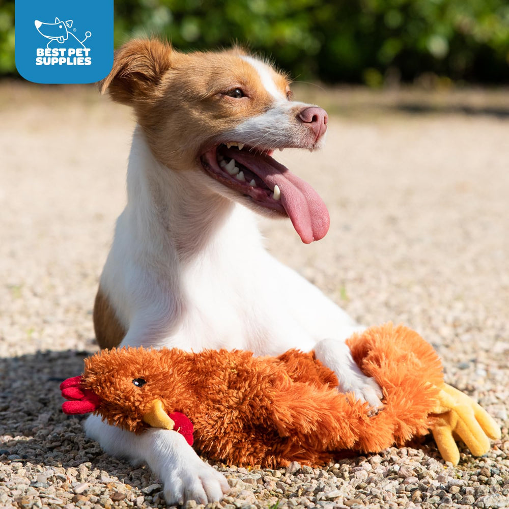 Best Pet Supplies brown chicken-themed toy ideal for bonding and playtime routines.