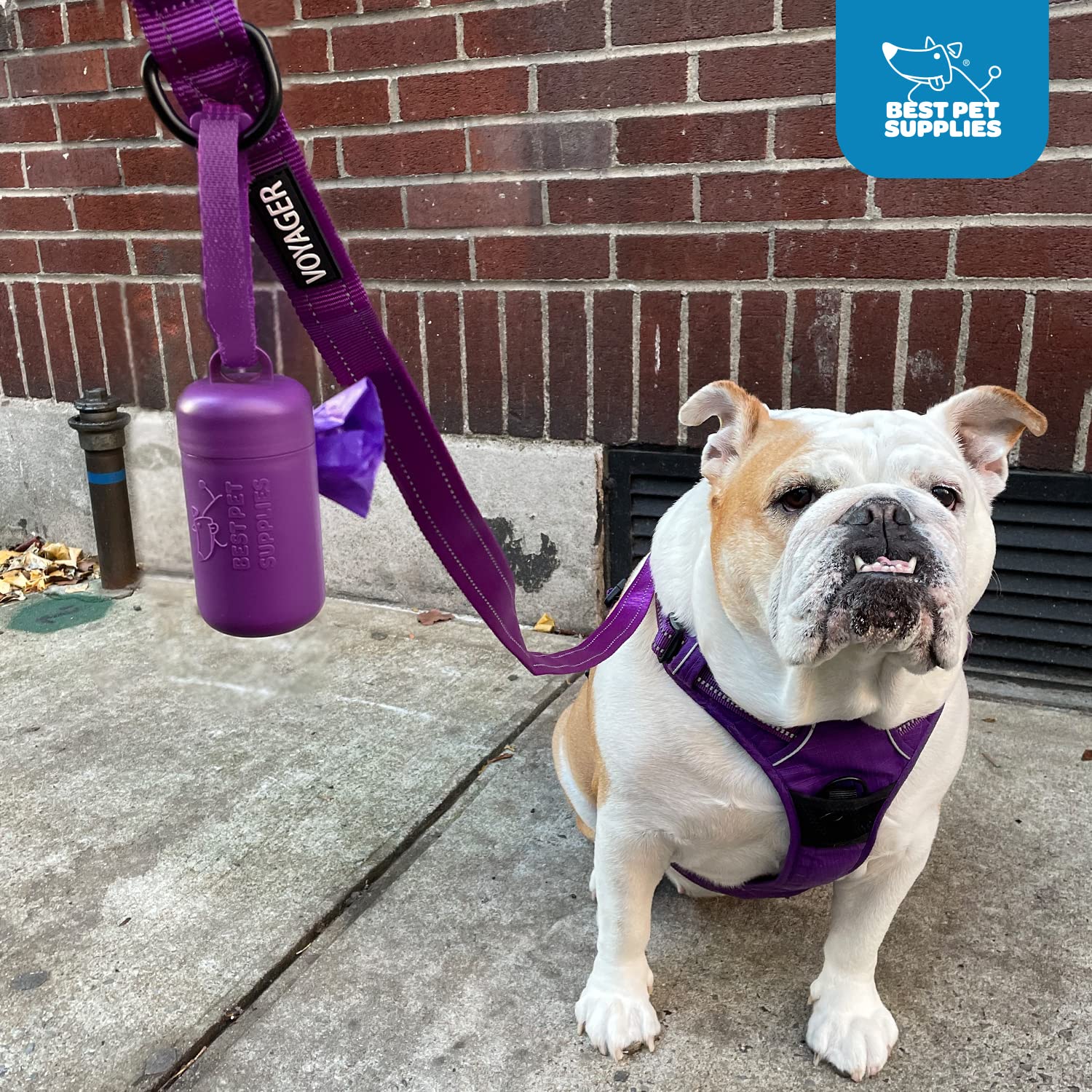Best Pet Supplies reusable poop bag holder keeps parks cleaner and waste reduced.