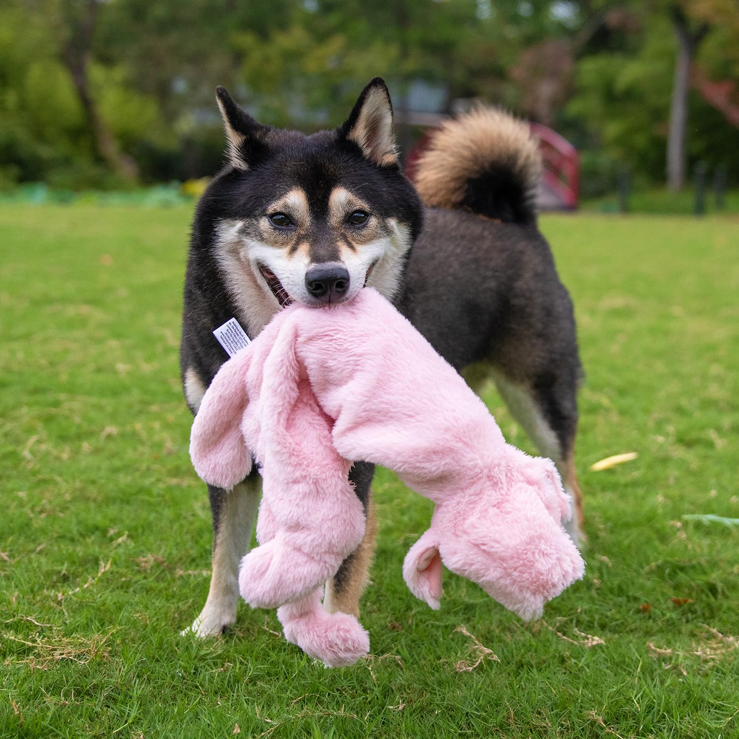 Best Pet Supplies interactive play toy supports ongoing indoor fun