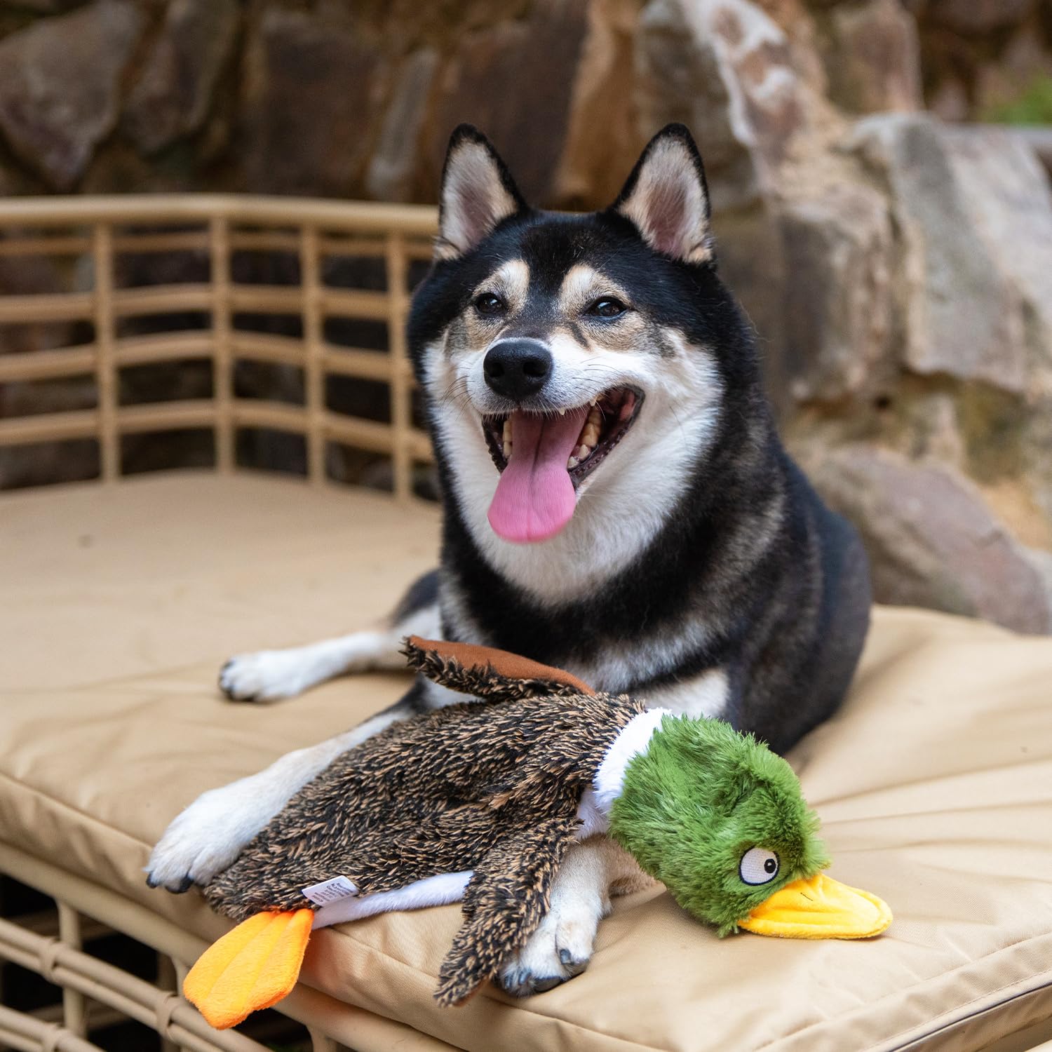 Best Pet Supplies soft plush material delivers comfortable chewing sessions