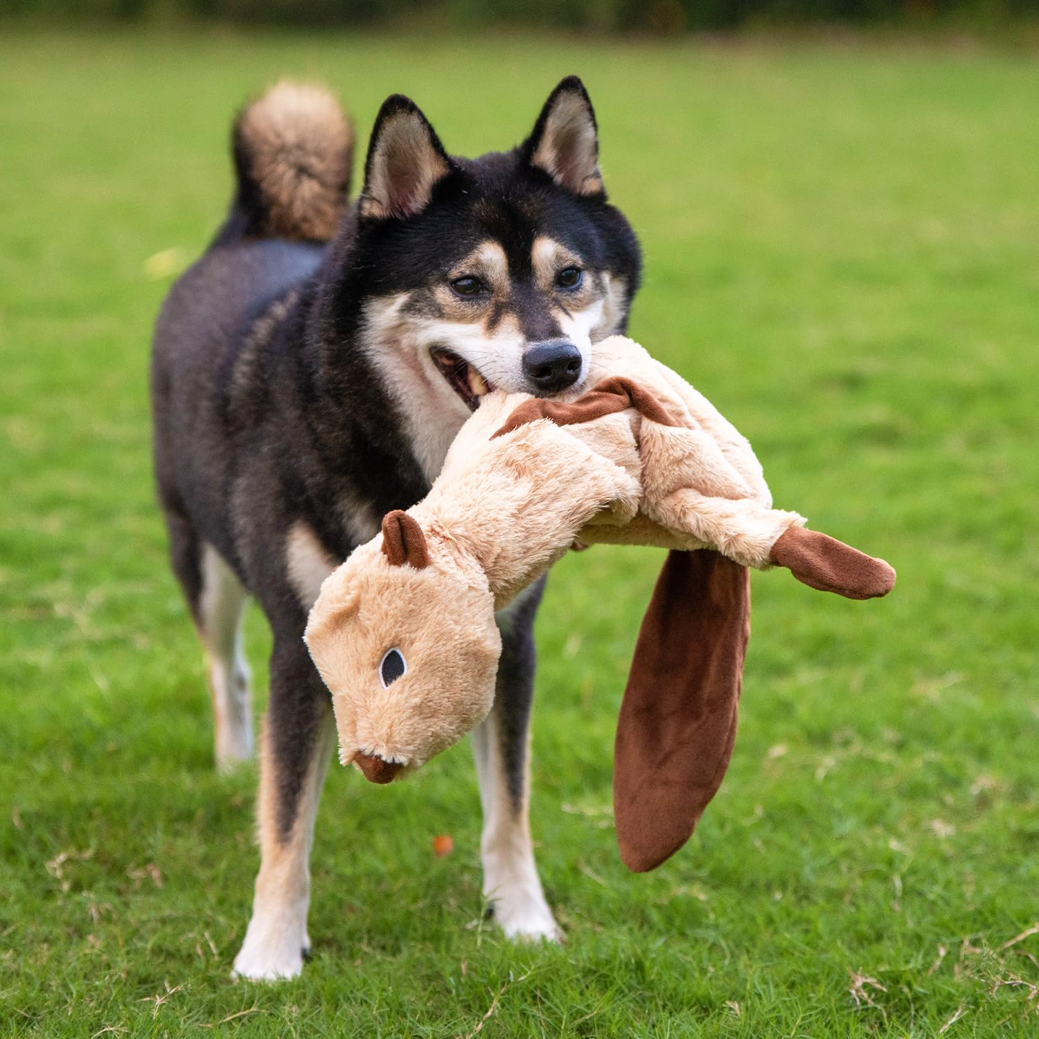 Best Pet Supplies self-fastener adds bottle for extra crunch and sensory play.