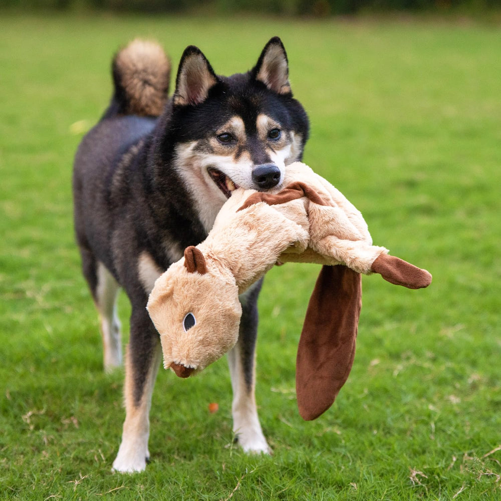 Best Pet Supplies self-fastener adds bottle for extra crunch and sensory play.