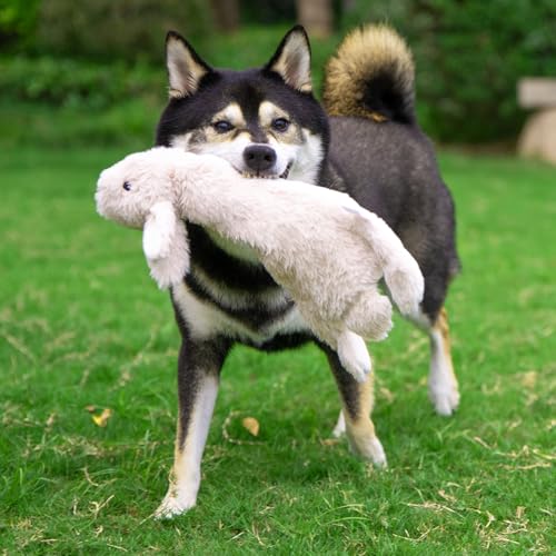 Best Pet Supplies small size variant suits tiny breeds and apartments.