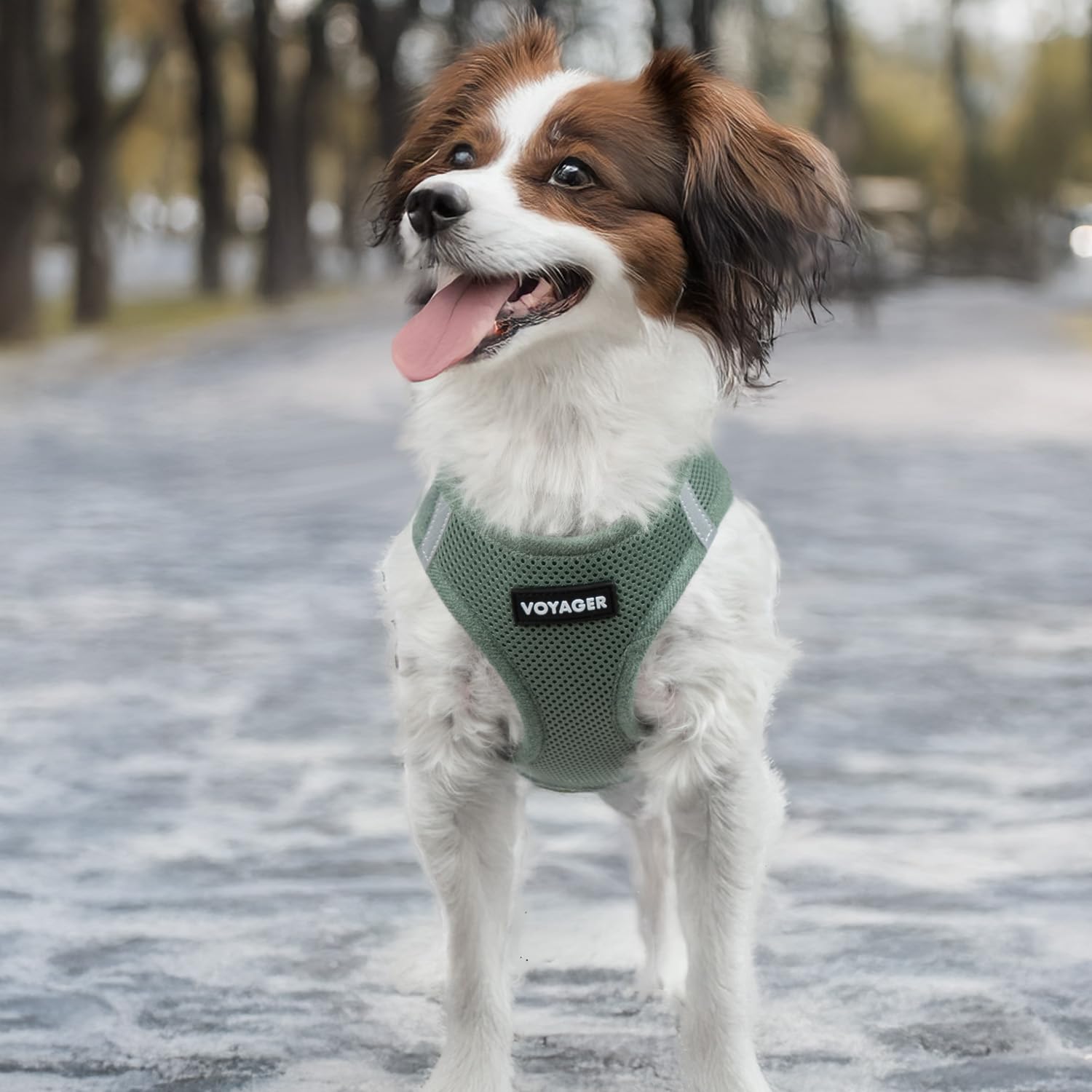 Best Pet Supplies Voyager arnés verde musgo para salidas diarias