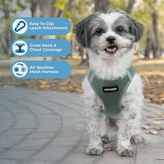 Best Pet Supplies Voyager, arnés con reflectantes para mayor visibilidad nocturna.