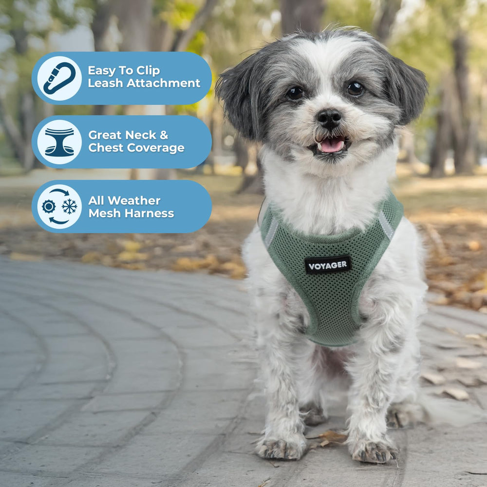 Best Pet Supplies Voyager arnés reflectante con dos bandas para visibilidad