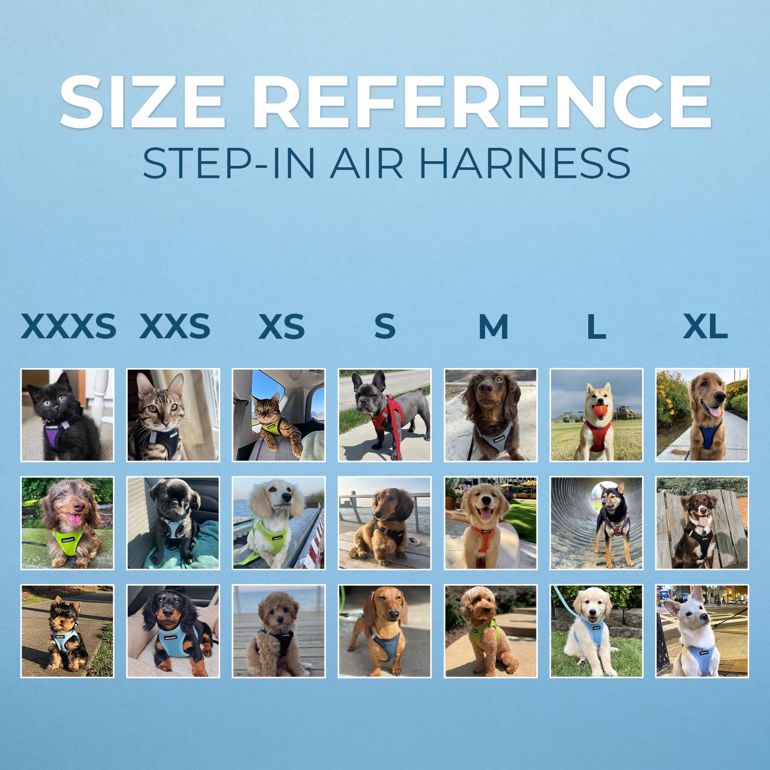 Best Pet Supplies Voyager breathable air mesh stays cool during warm-weather walks.