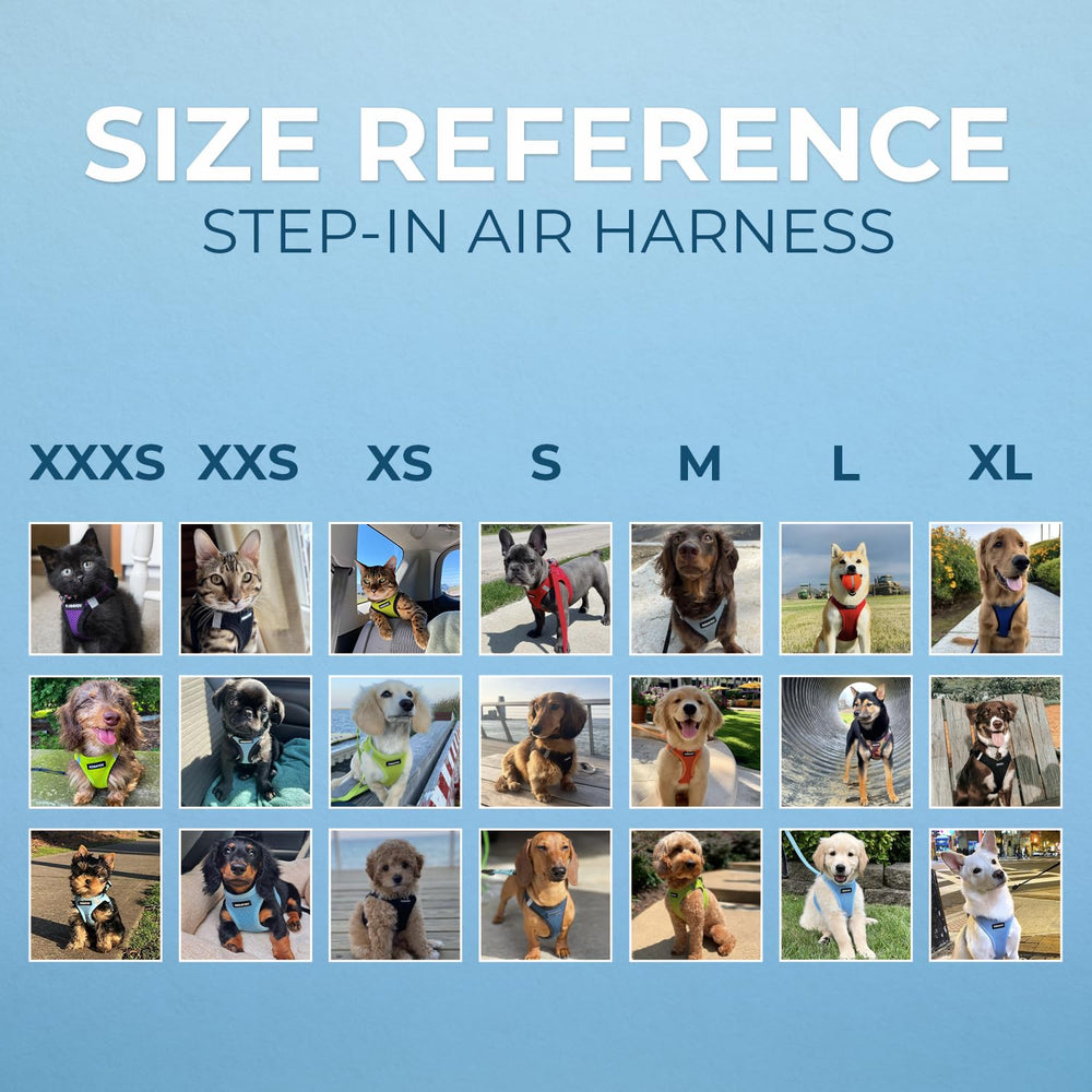 Best Pet Supplies Voyager breathable air mesh stays cool during warm-weather walks.