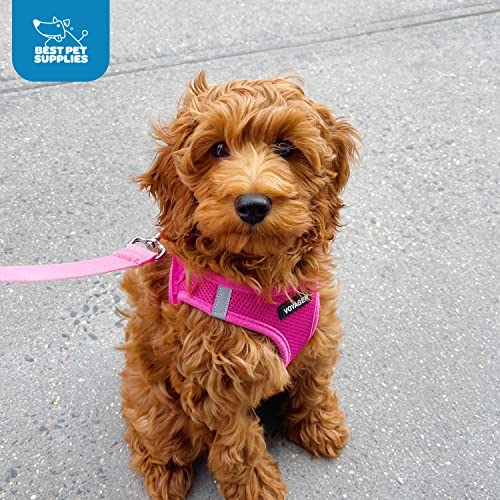 Best Pet Supplies Voyager step-in design makes onboarding quick and stress-free.