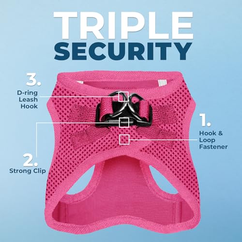 Best Pet Supplies Voyager harness showing reflective bands for safer low-light strolls.