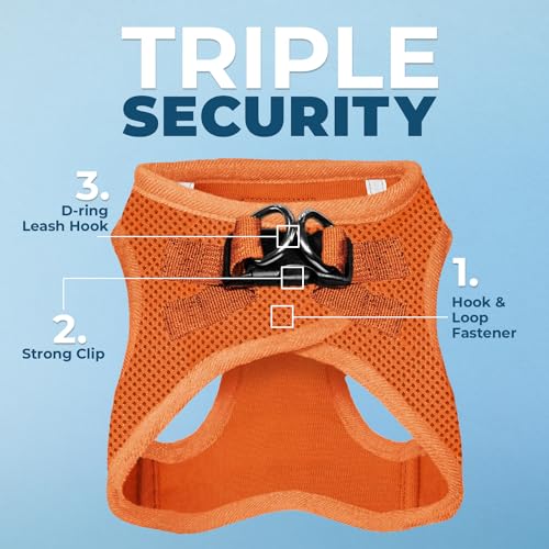 Best Pet Supplies Voyager harness with reflective strips enhances visibility during night walks.