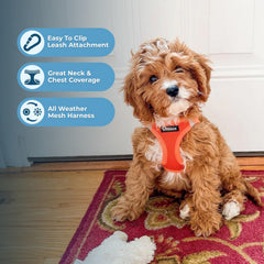 Best Pet Supplies Voyager closeup of secure hook-loop fastener demonstrates triple security for safe adventures.