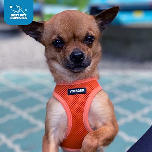 Best Pet Supplies Voyager size guide XS option helps find a precise fit for small pets.