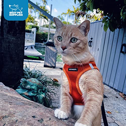 Best Pet Supplies Voyager walk-ready harness in use during a casual daily stroll.