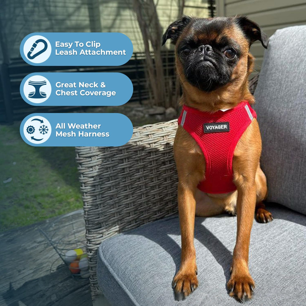 Best Pet Supplies Voyager Step-in Air Harness red back view shows triple-security design