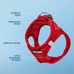 Best Pet Supplies Voyager Step-in Air Harness red harness on cat indoors and outdoors versatility