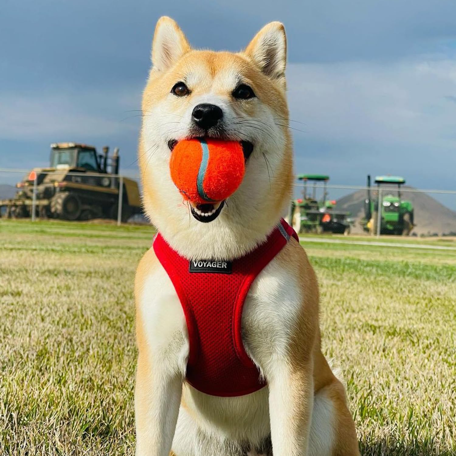 Best Pet Supplies Voyager sizing guide helps achieve the perfect fit with measuring